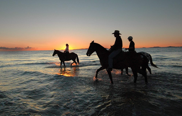 Horse riding or Camel riding - 2 hours